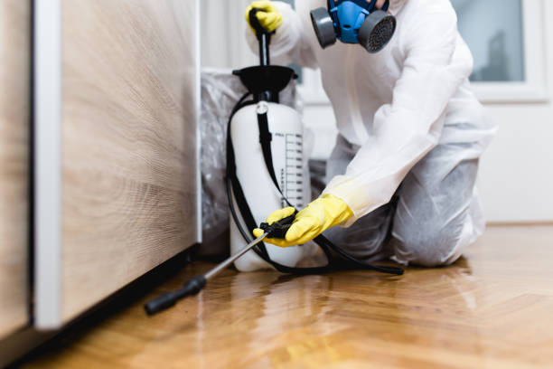 Best Mosquito Control Services  in Olney, TX