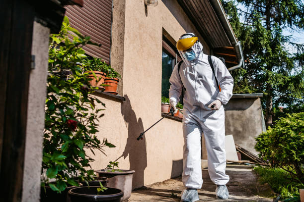 Best Cockroach Control Services  in Olney, TX