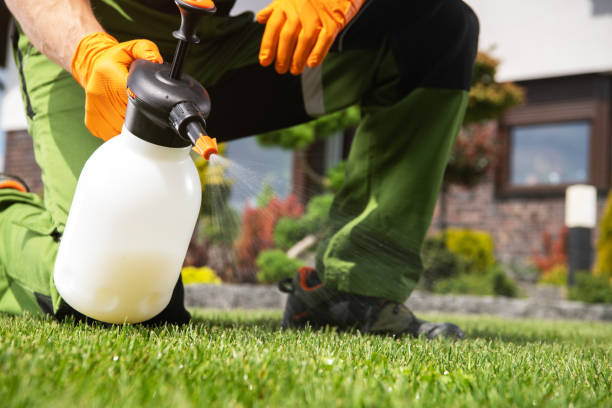Trusted Olney, TX Pest Control Experts