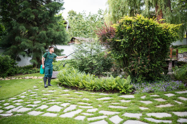 Best Pest Control Near Me in Olney, TX