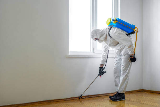 Best Pest Prevention Services  in Olney, TX