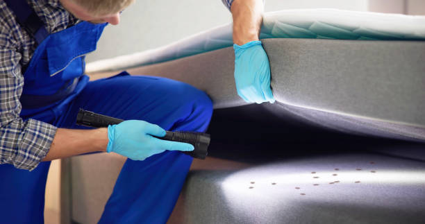 Best Pest Control Treatment  in Olney, TX